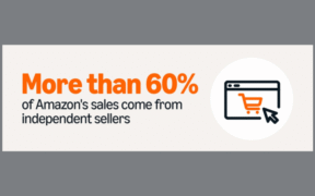 The Rise of Amazon Sellers
