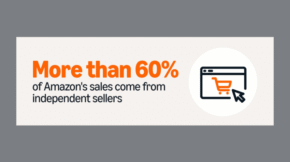 The Rise of Amazon Sellers