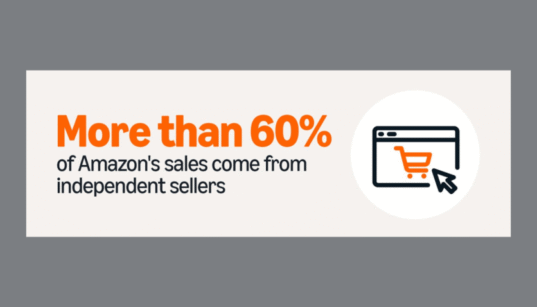 The Rise of Amazon Sellers